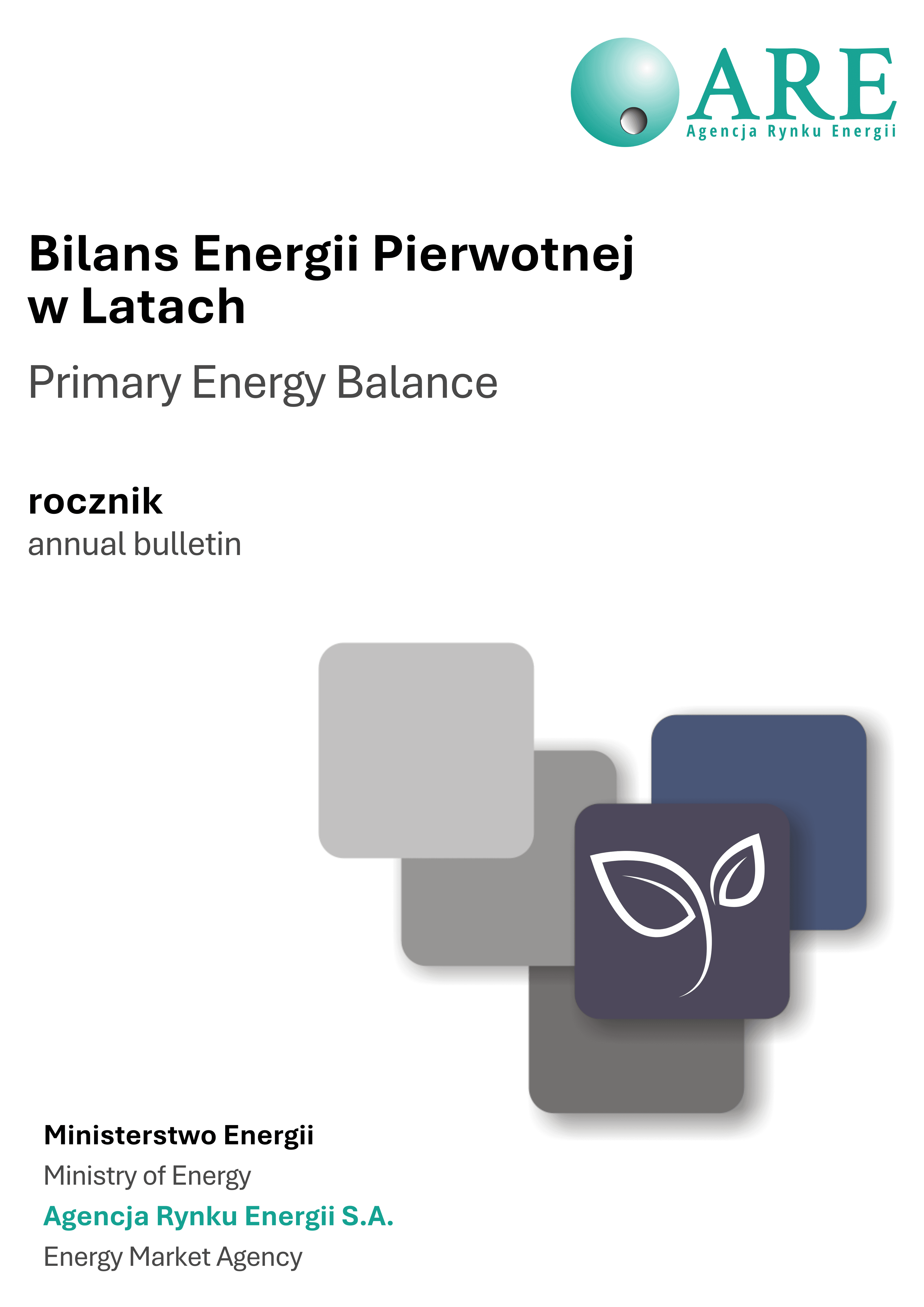 BILANS ENERGII PIERWOTNEJ