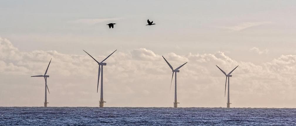 PSE mają komplet decyzji lokalizacyjnych dla linii wyprowadzających moc z morskich farm wiatrowych