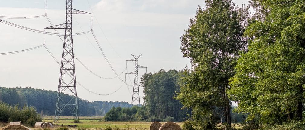 PSE mają decyzje środowiskowe dla części projektu Harmony Link